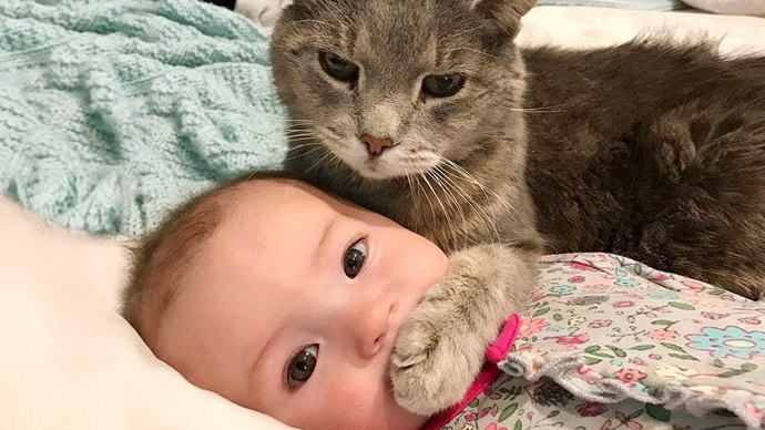 Çocuklu bir evde kedi, köpek gibi hayvanlar nasıl beslenir?
