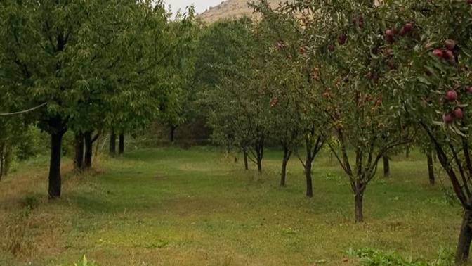 Şu an tam olarak nerede olmak isterdin?