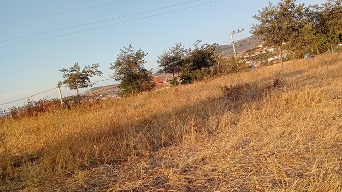 Manzaramın güzelliğine ne demeli?