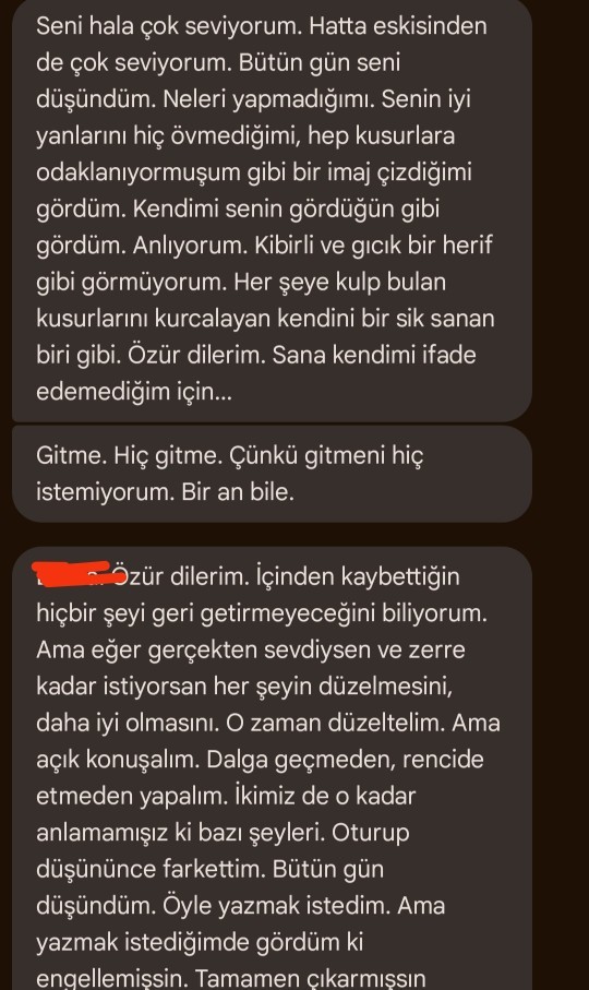 S*ktir git demişti, sizce geri dönmeli miyim?