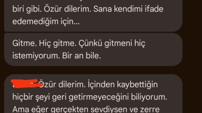 S*ktir git demişti, sizce geri dönmeli miyim?