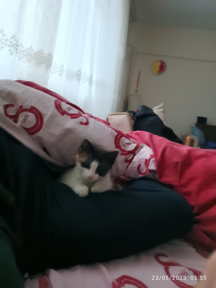 Yanınızda biri varken uyuyabilir misiniz?