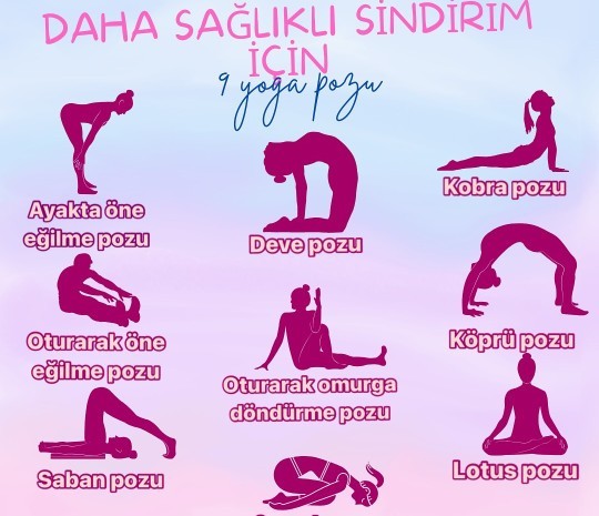 Yaparken ciğerlerimi hissetmiyorm dediginiz bir spor var mı?