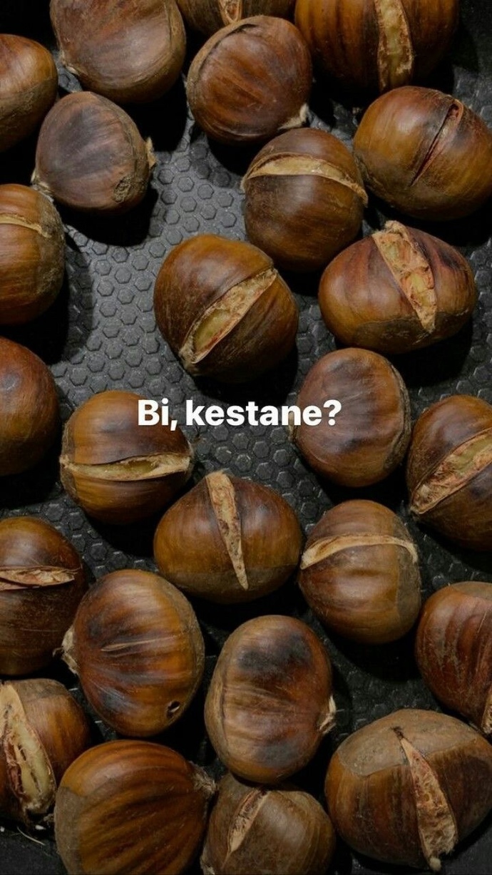 Kestane sever misiniz 😋?