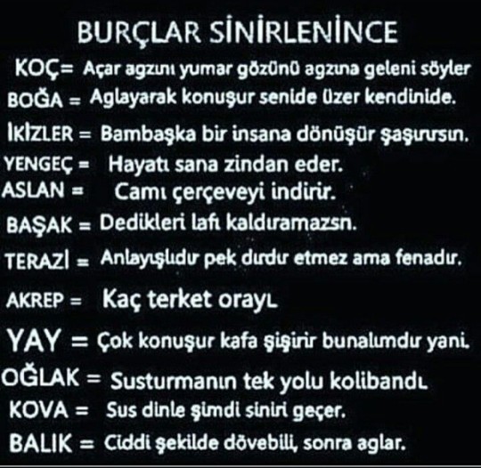 Sen sinirlenince hangisisin?
