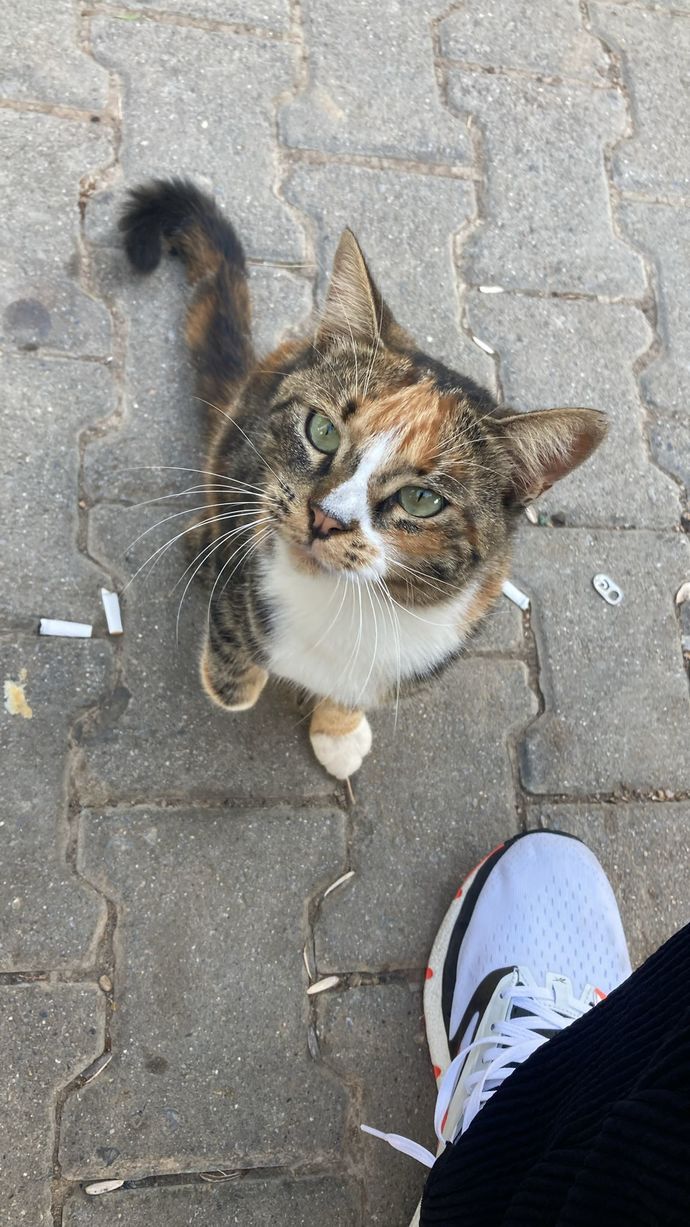 Anlık olarak ne yapıyorsunuz?