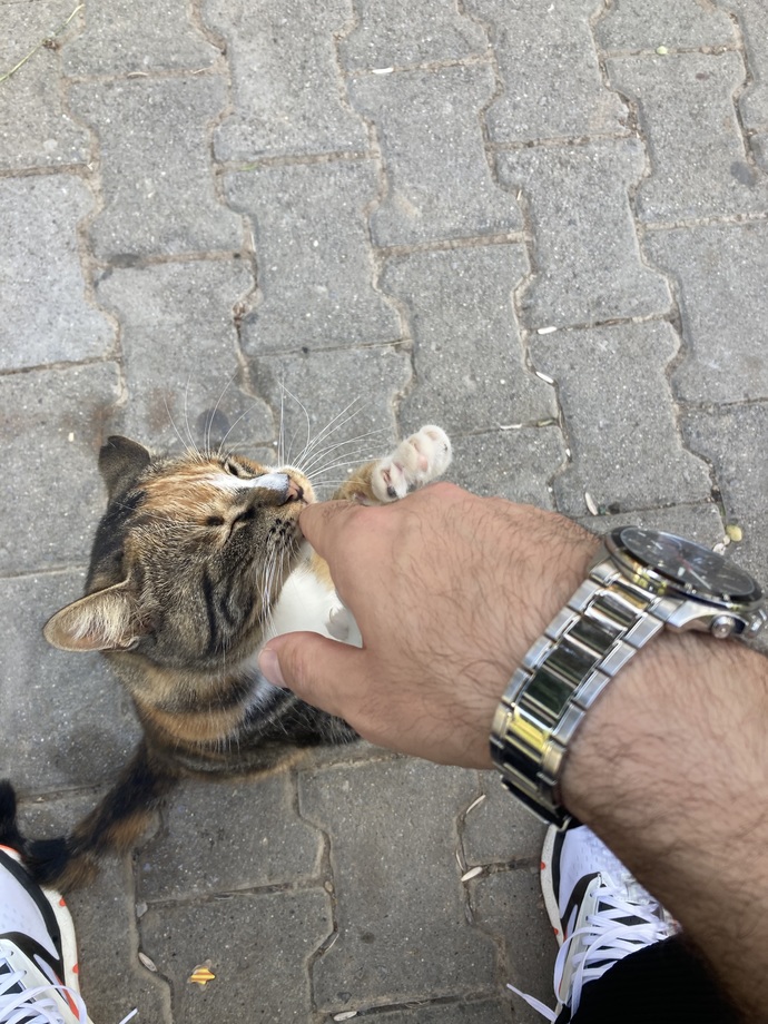 Anlık olarak ne yapıyorsunuz?