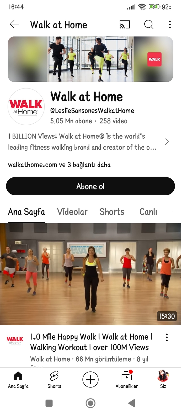 Aranızda hiç leslie yapan var mı?