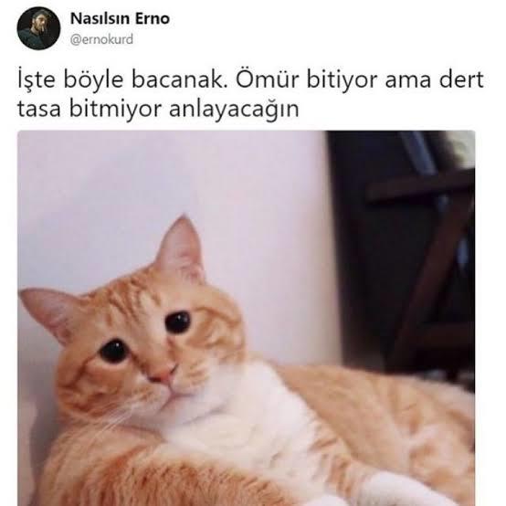 Seninle sohbet etseydik ne konuşurduk?