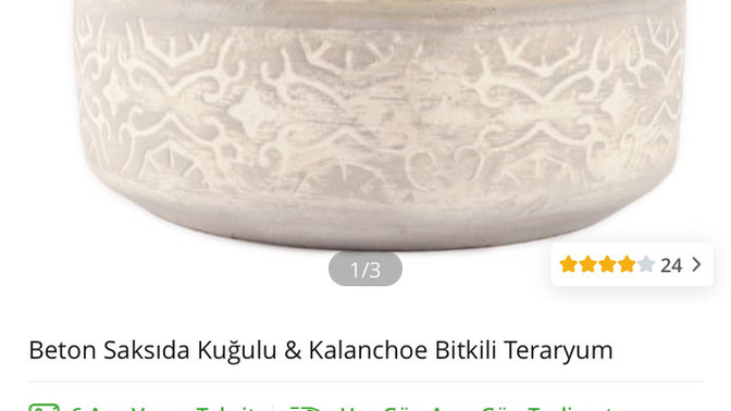 Arkadaşıma doğum günü hediyesi göndericem uzakta olduğum için kararsız kaldım cicek sepetinden hangiisni gönderim ikimizde kızız?