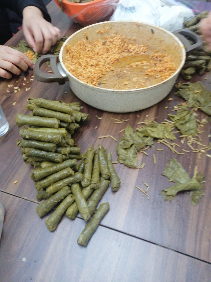 Zeytinyağlı yaprak sarma sever misiniz?
