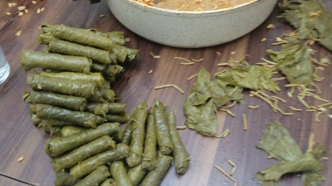 Zeytinyağlı yaprak sarma sever misiniz?