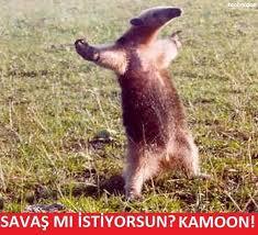 Akşam derbi var! Hangi takımı desteklediğinizi söylim miiğ?