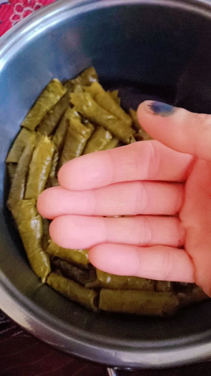 Akşam sarmayı unuttuğum sarmaları şimdi koysam ocağa, akşama yetişir mi?