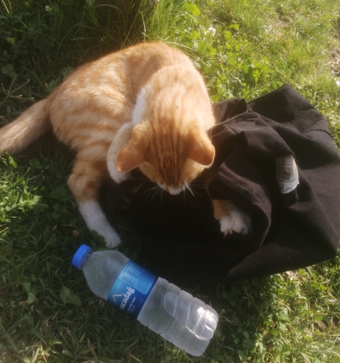 Bırak çantamı Garfii🤣