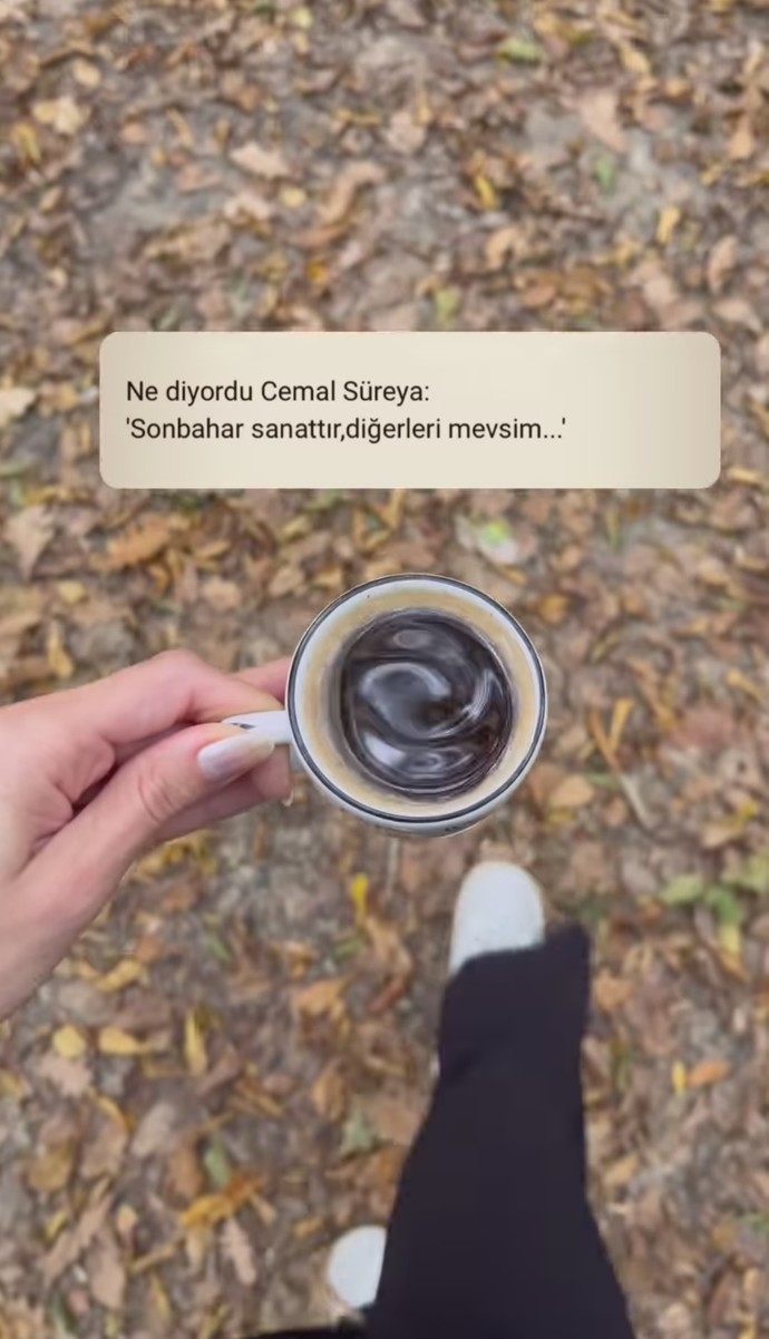 🍂
