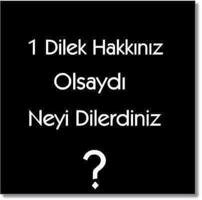 1 dilek hakkın olsa ne dilerdin?