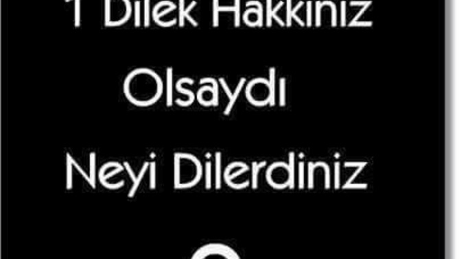 1 dilek hakkın olsa ne dilerdin?