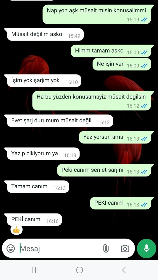 Sevgilimin haftaici işinden dolayı çok konusamıyoruz haftasonu da buna sinir olmam normal mi abartiyor muyum?