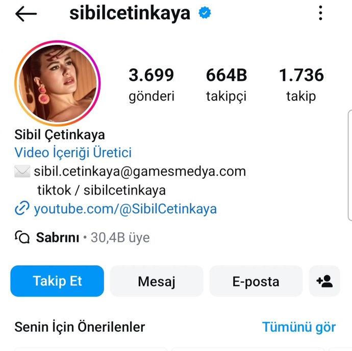 Instagram da kaç gönderi sayısına sahipsiniz?
