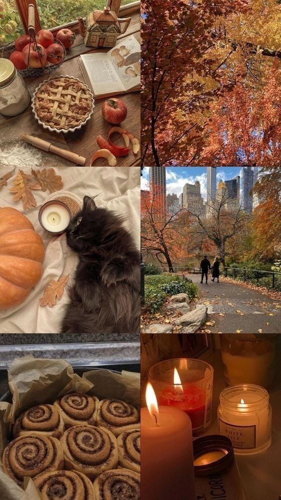 Sonbahar ekinoksu geldi çattı! 🍂 Bu mevsim senin için hangi hisler demek?