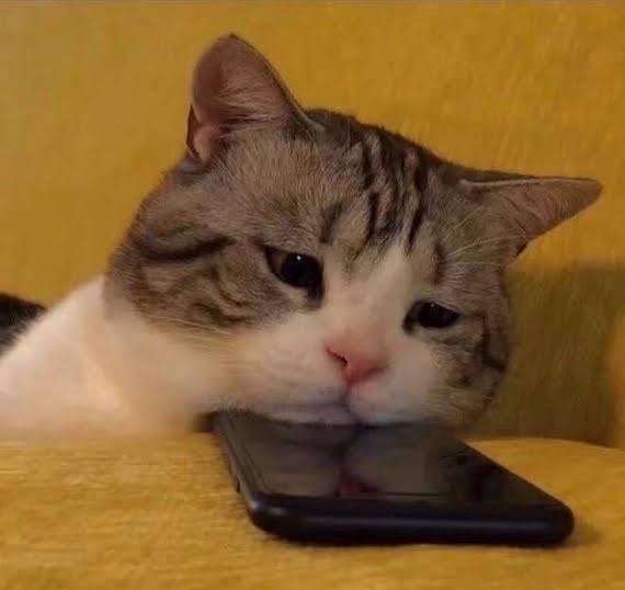 Özlediğiniz, mesajını beklediğiniz bir var mı?