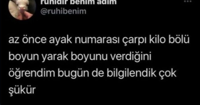 Sizinki kaç çıktı?