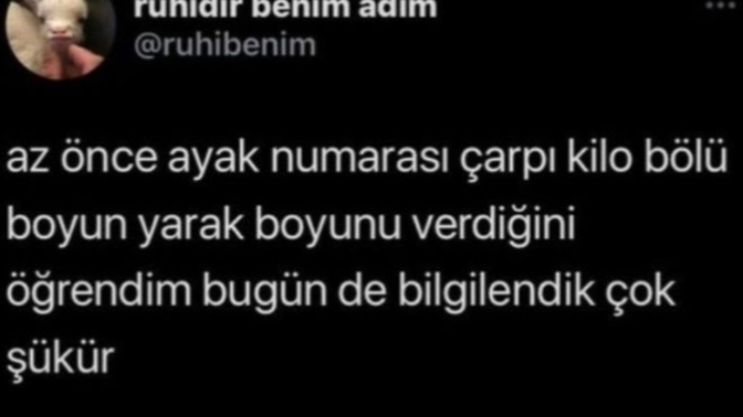 Sizinki kaç çıktı?