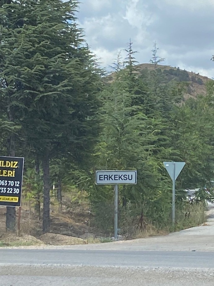 Erkekler grip atar mı?