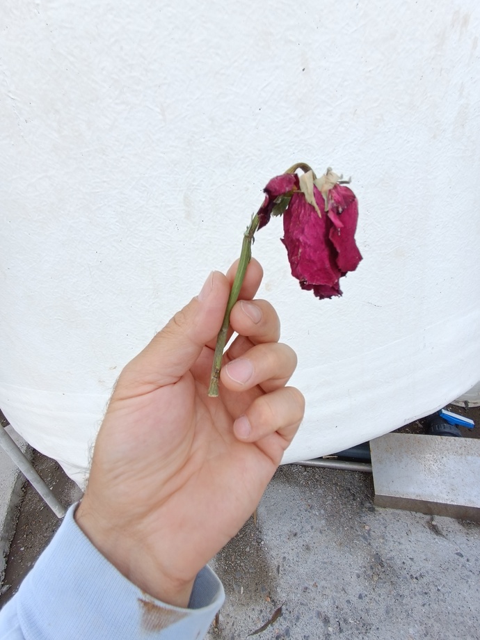 Bugün benim doğum günüm, doğum günümü kutlar mısınız?