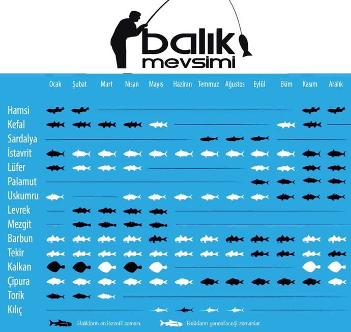 Balık ekmek yemeyi özlediniz mi?