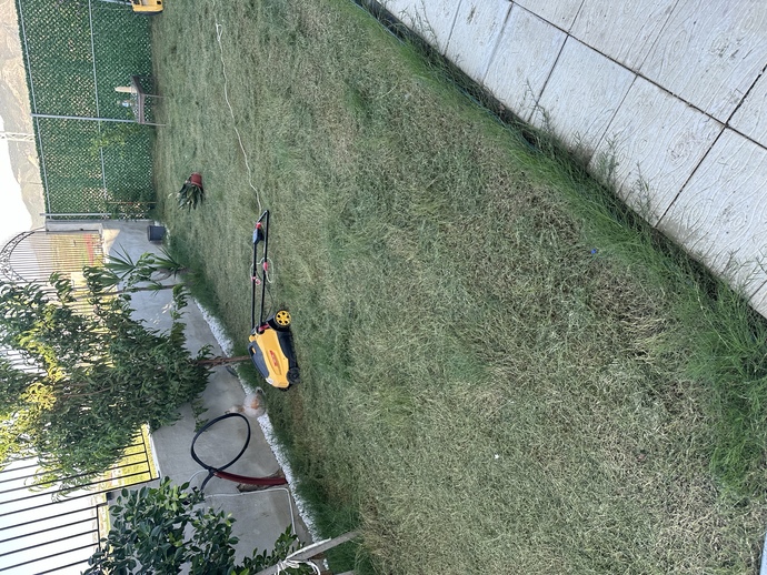Eve çim yaptık, olmamış mı sizce?