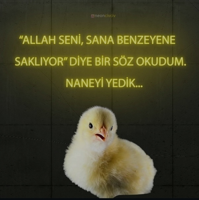 Kendinize benzeyen birini eş olarak istermisiniz 😂?