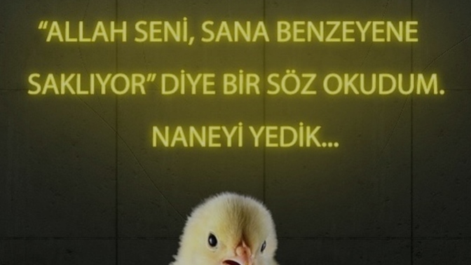 Kendinize benzeyen birini eş olarak istermisiniz 😂?