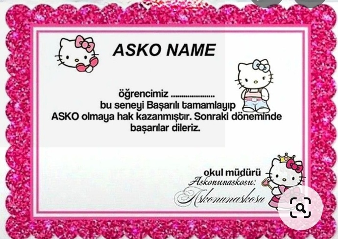 Sizin kazandığınız bir başarı belgesi var mı?