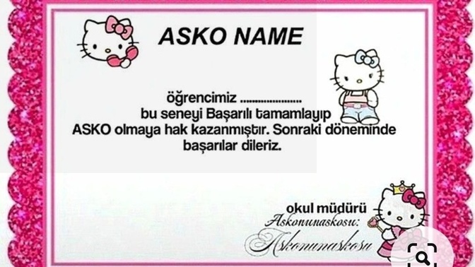 Sizin kazandığınız bir başarı belgesi var mı?