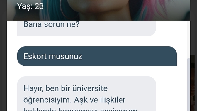 Asko kuskoya soru sordum, yalan soyluyor sanki üniversite ogrencisi imis, ne dersiniz, resimli attigim mesaj?