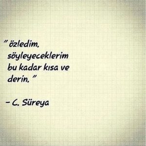 Sevgiliniz Özledim diye mesaj atarsa, bundan ne anlam çıkarırsınız?