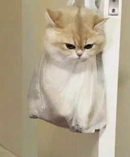 Ufukta evlilik yok mu?” diye soranlardan sıkılıyor musun?