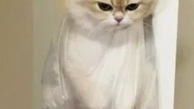 Ufukta evlilik yok mu?” diye soranlardan sıkılıyor musun?