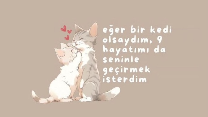 Bir kedi olsaydınız 9 canınızı nasıl değerlendirirdiniz?