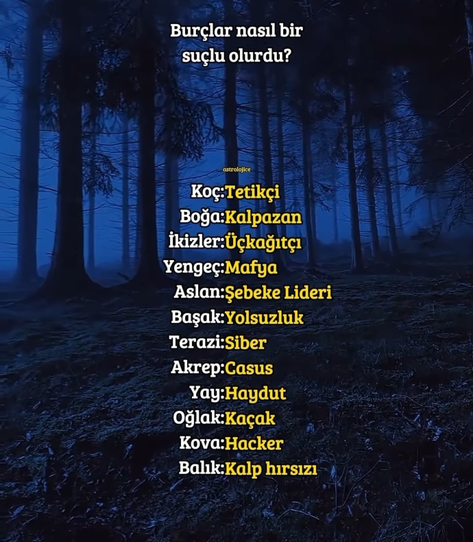 Senin burcun nasıl bir suçlu olurdu?