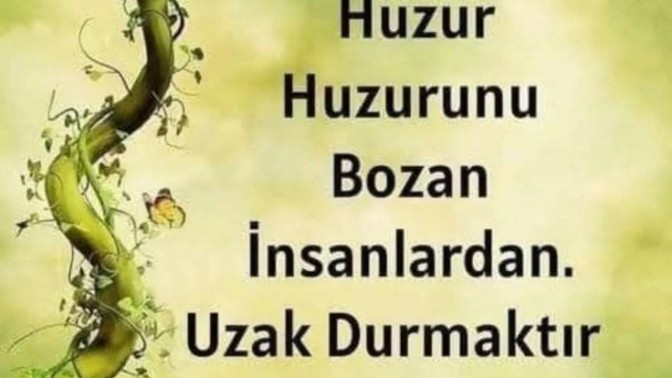 Bir insan neden zorluklara göğüs germiş yalnız ve farklı olduğunu göstermeye çalışır?