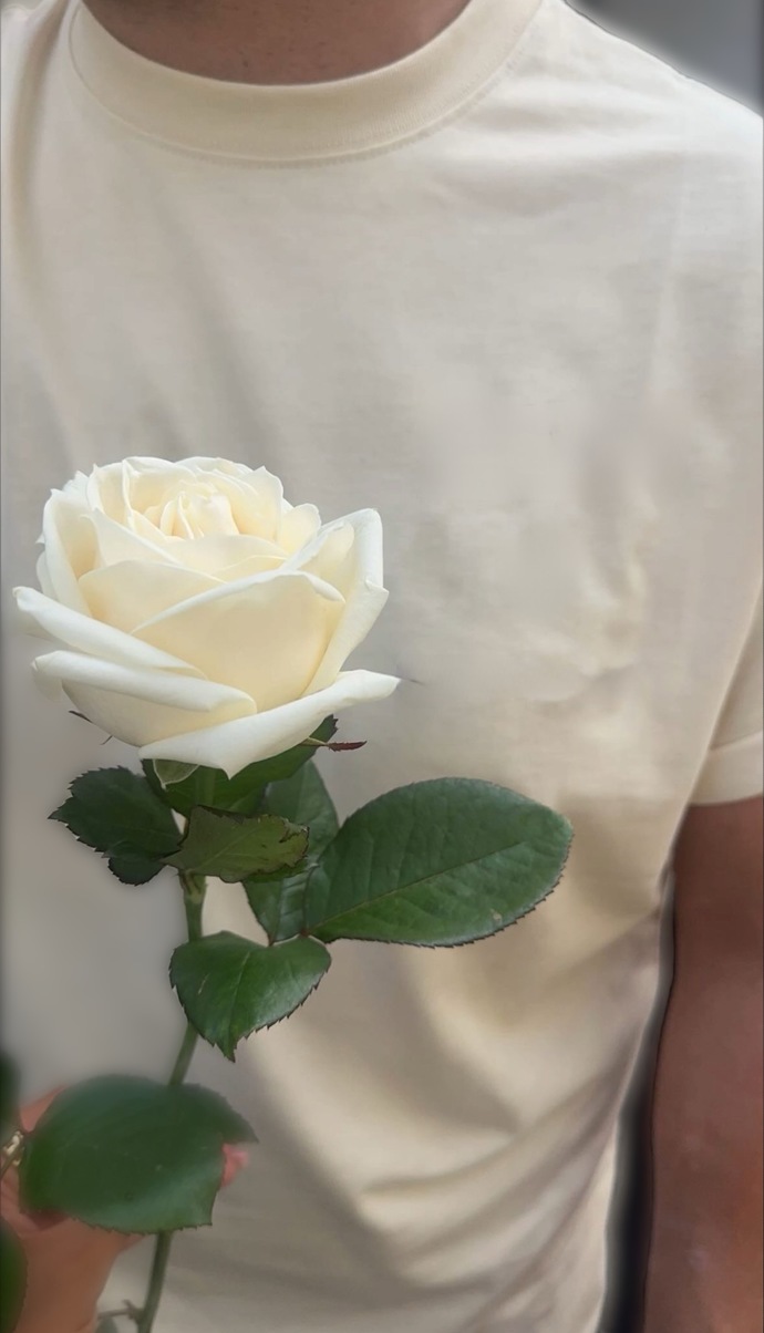 🕊️