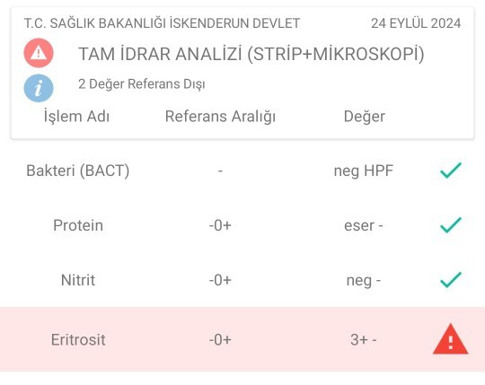 Bu testler normal mi?