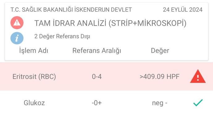 Bu testler normal mi?