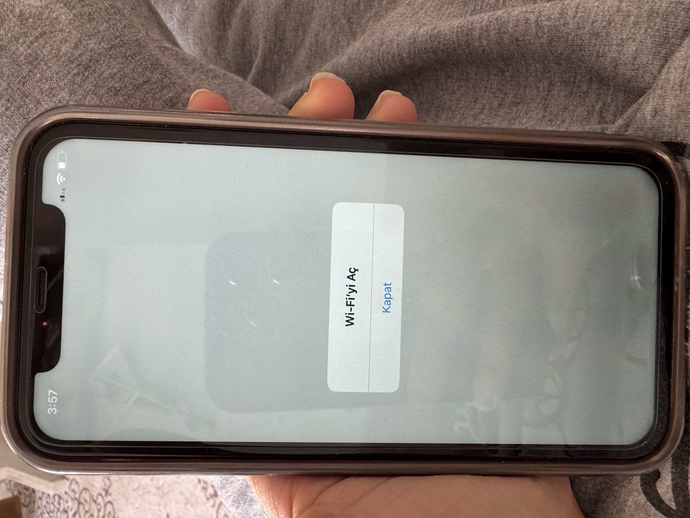 İphone 11 hicbirsekilde wifi mobil veri bagli olmasina ragmen internet kullanamiyorum neden?
