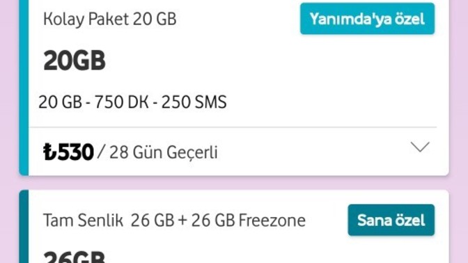 Hazır paketli misiniz yoksa faturalı mı? Memnun musunuz?
