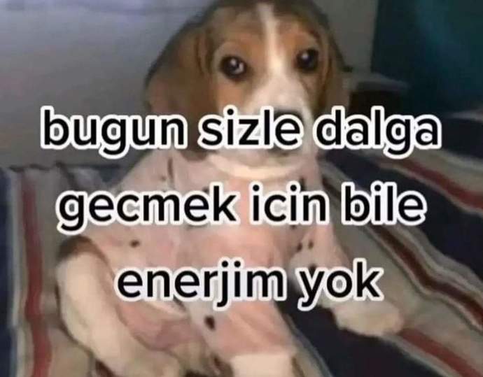 Aşık olmak eğlenceli değil mi heyecan falan hani, siz aşık mısınız?