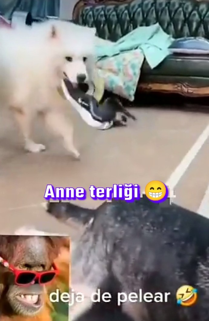Anne terliği yediniz mi hiç?